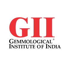 Our Client Company - GII